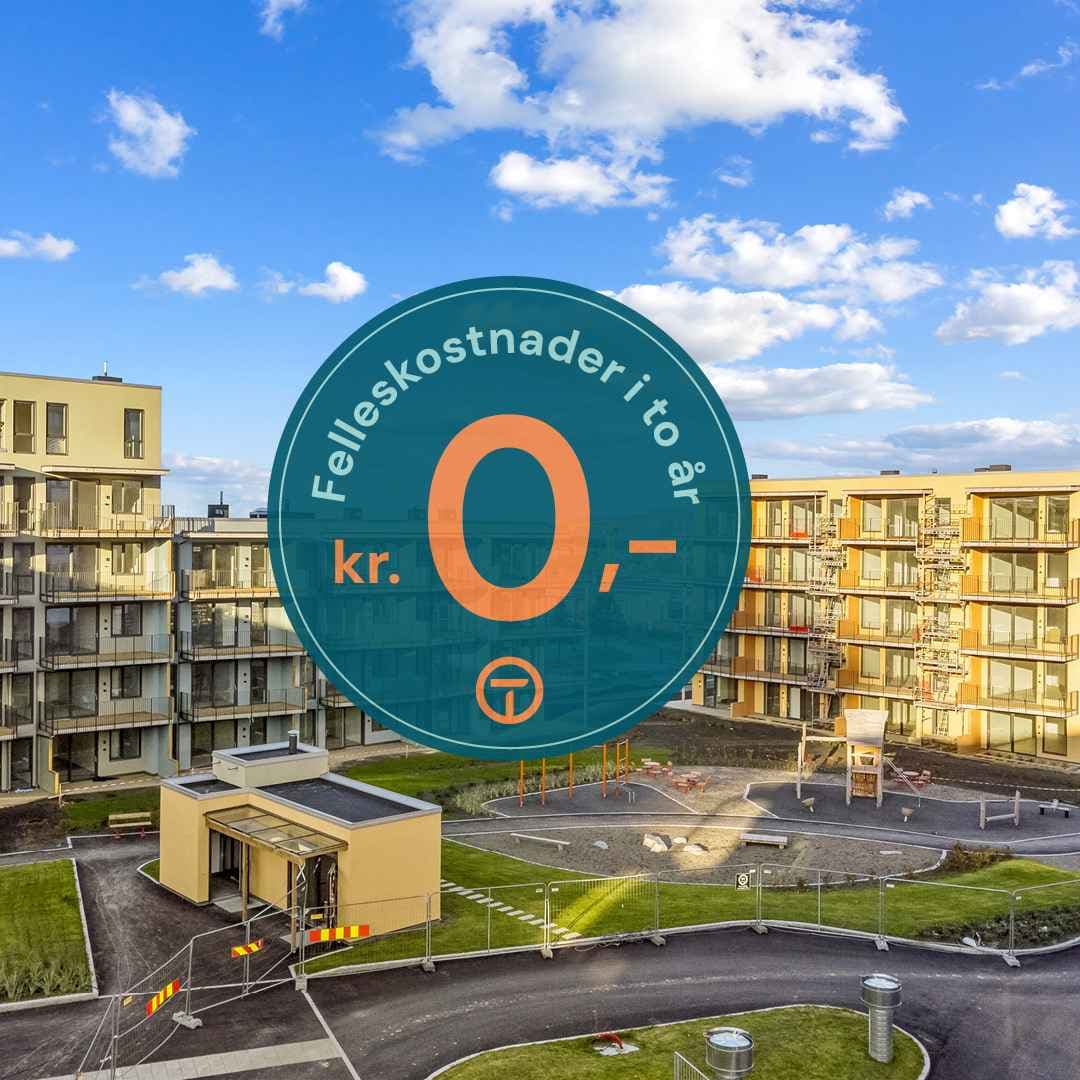 Et bilde som er lagt til i innlegget.